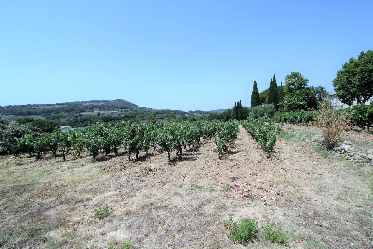 Bastide La Marraine Villa Le Castellet  Bagian luar foto